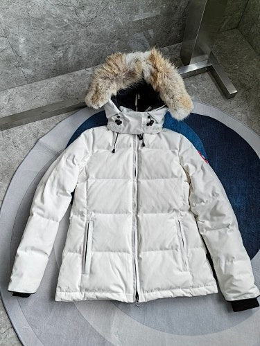 Canada Goose 04